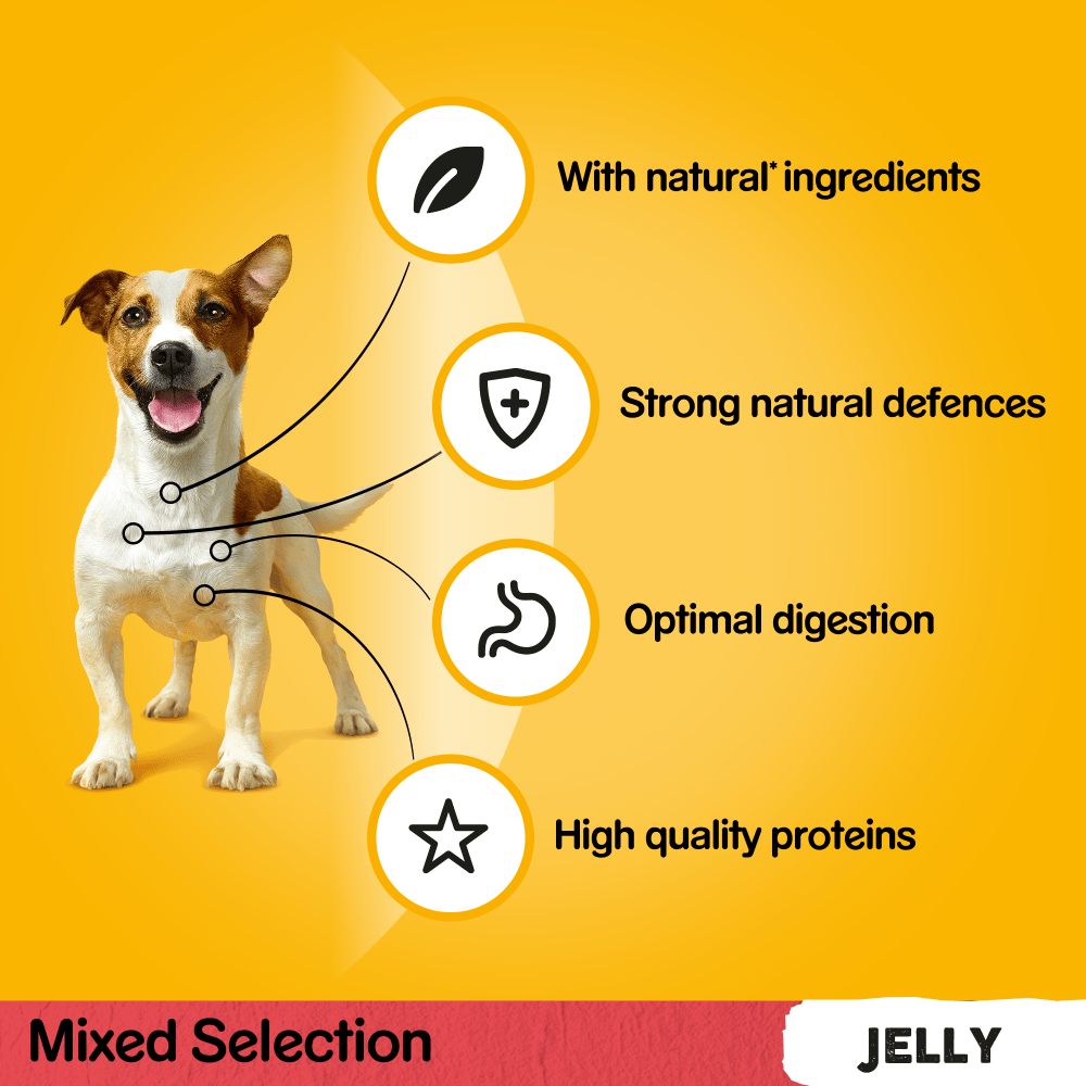 PEDIGREE® Mixed Selection in Jelly Adult Wet Dog Food Pouches 80 x 100g Giant Pack