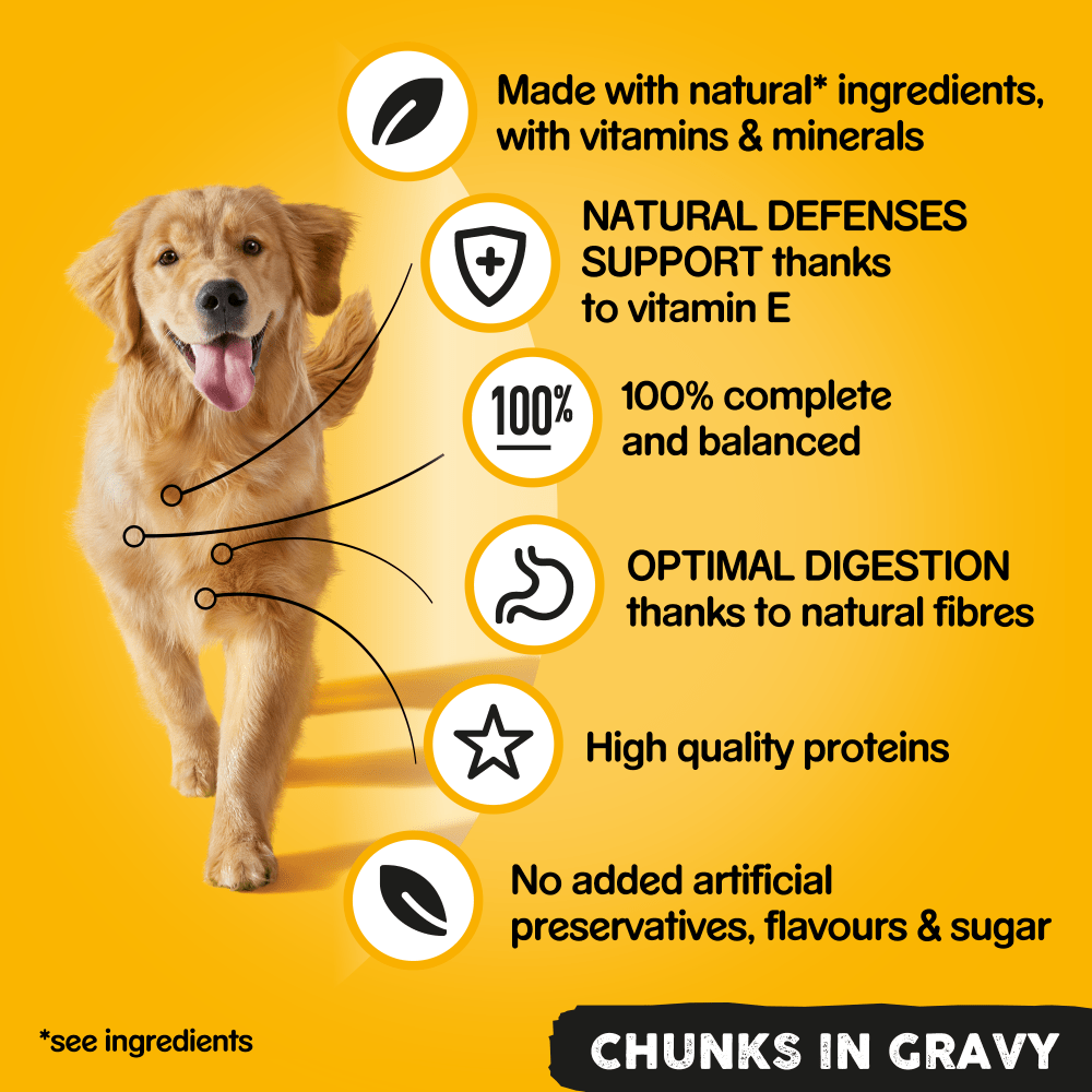 PEDIGREE® Chunks in Gravy Wet Dog Food Tins 6 x 400g, 12 x 400g